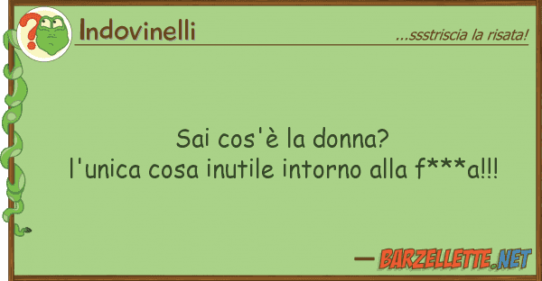 Indovinelli sai cos'è donna? l'unica cosa inutil