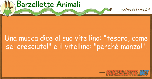 Barzellette Animali mucca dice vitellino: "tesoro