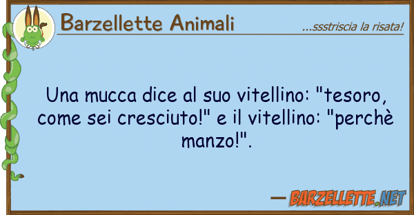 Barzellette Animali mucca dice vitellino: "tesoro