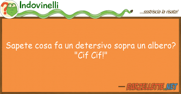 Indovinelli sapete cosa fa detersivo sopra alb