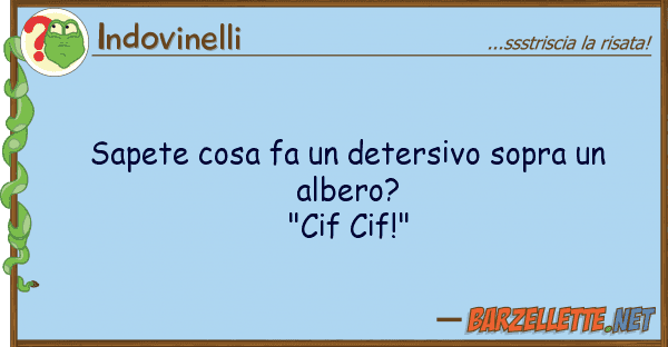 Indovinelli sapete cosa fa detersivo sopra alb