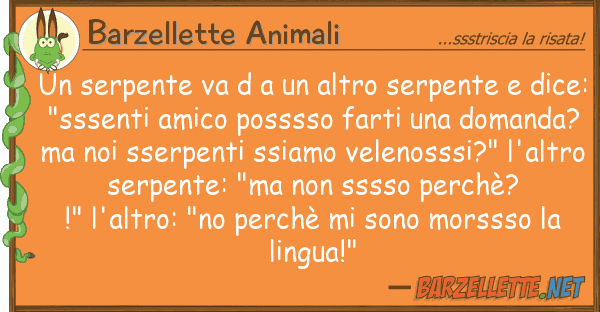 Barzellette Animali serpente va d altro serpente d