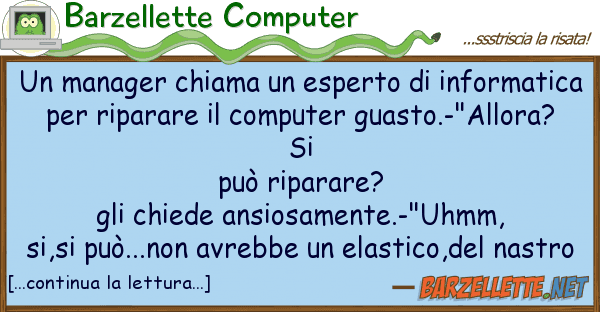 Barzellette Computer manager chiama esperto informat