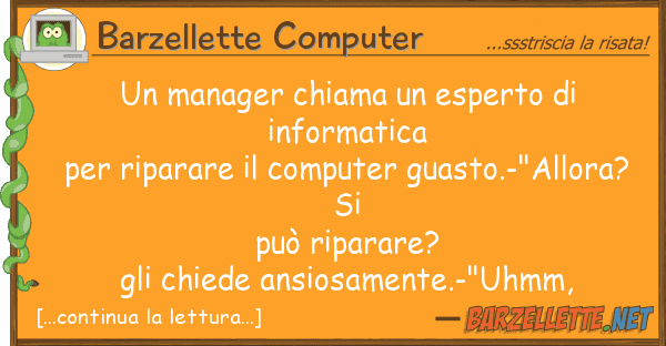 Barzellette Computer manager chiama esperto informat