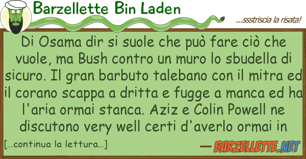 Barzellette Bin Laden osama dir suole può fare ciò