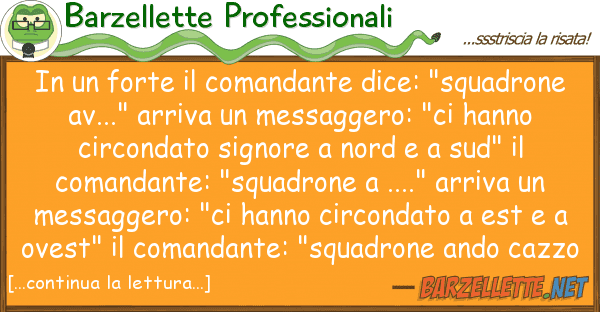 Barzellette Professionali forte comandante dice: "squadro