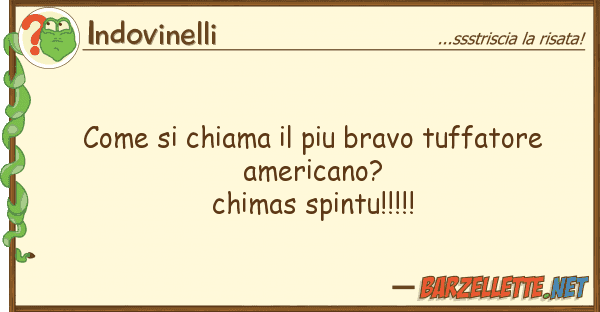 Indovinelli chiama piu bravo tuffatore am
