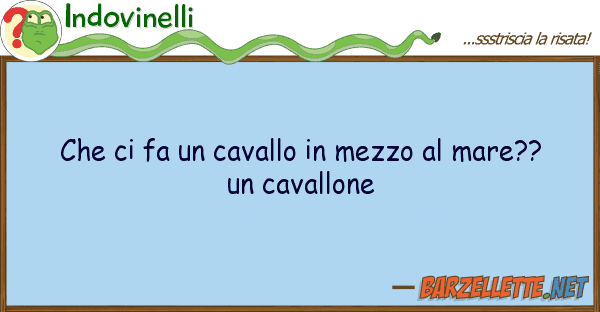 Indovinelli fa cavallo mezzo mare??