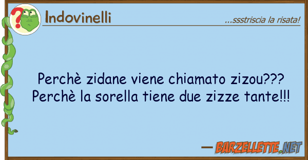 Indovinelli perchè zidane viene chiamato zizou???