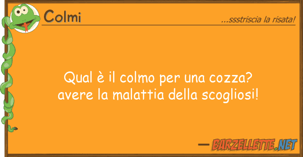 Colmi qual è colmo cozza? avere
