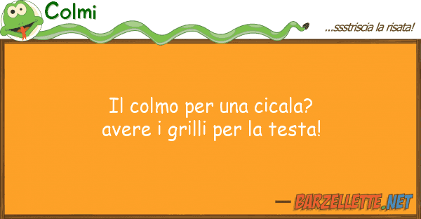 Colmi colmo cicala? avere grilli