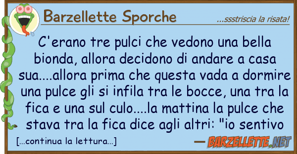 Barzellette Sporche c'erano tre pulci vedono bella b