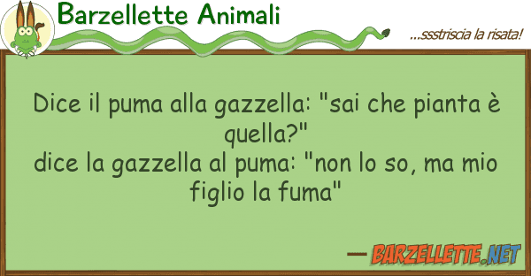 Barzellette Animali dice puma gazzella: "sai pia