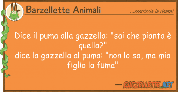 Barzellette Animali dice puma gazzella: "sai pia