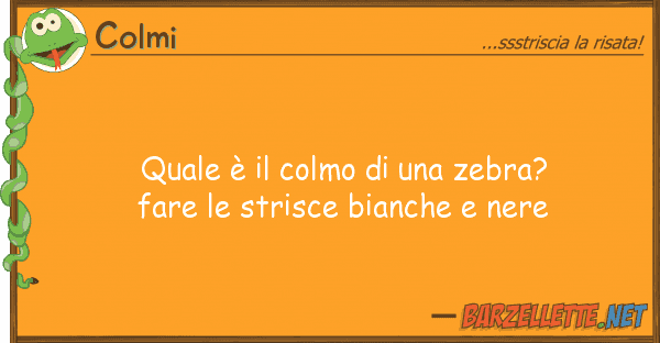 Colmi è colmo zebra? fare