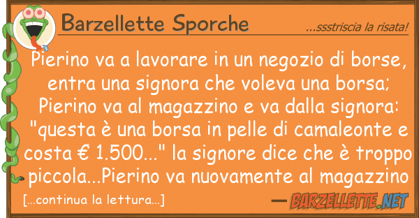 Barzellette Sporche pierino va lavorare negozio b