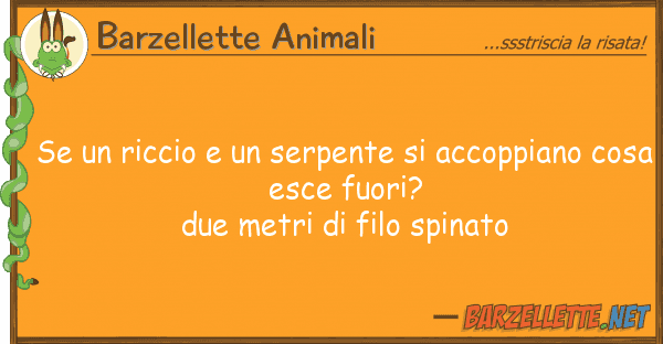 Barzellette Animali riccio serpente accoppiano