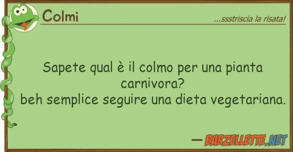 Colmi sapete qual è colmo pianta