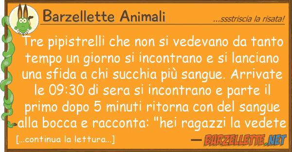 Barzellette Animali tre pipistrelli vedevano t