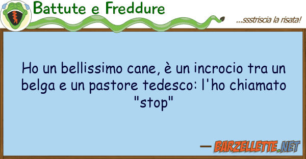 Battute e Freddure ho bellissimo cane, è incrocio tr