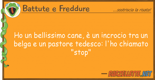 Battute e Freddure ho bellissimo cane, è incrocio tr