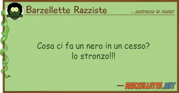 Barzellette Razziste cosa fa nero cesso? stron