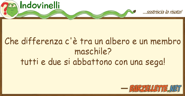Indovinelli differenza c'è albero m