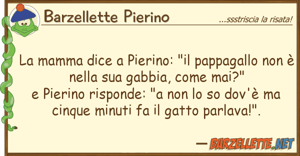 Barzellette Pierino mamma dice pierino: "il pappagallo