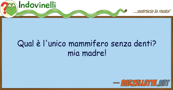 Indovinelli qual è l'unico mammifero senza denti? m