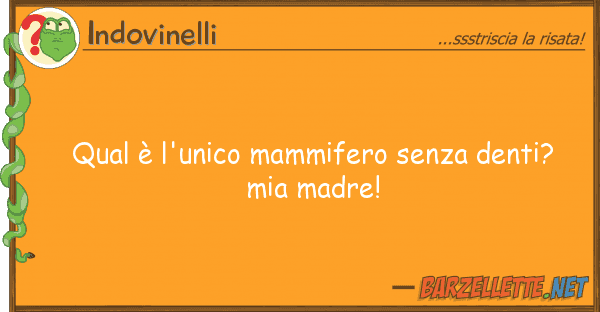 Indovinelli qual è l'unico mammifero senza denti? m