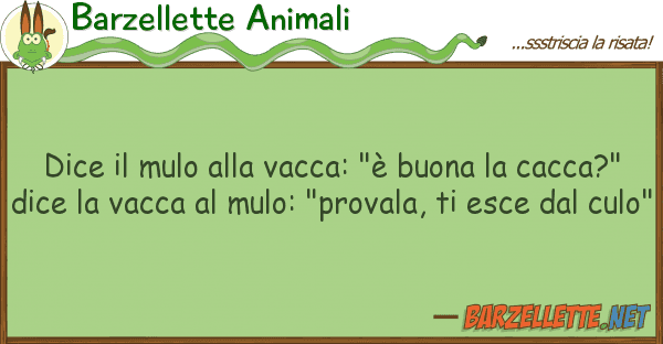 Barzellette Animali dice mulo vacca: "è buona ca