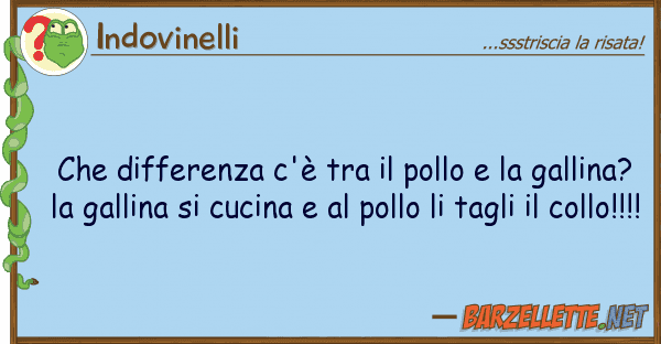 Indovinelli differenza c'è pollo ga