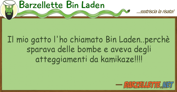 Barzellette Bin Laden gatto l'ho chiamato bin laden..pe
