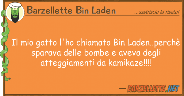 Barzellette Bin Laden gatto l'ho chiamato bin laden..pe