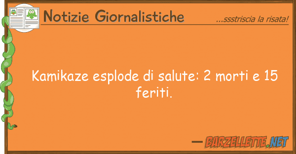 Notizie Giornalistiche kamikaze esplode salute: 2 morti 15