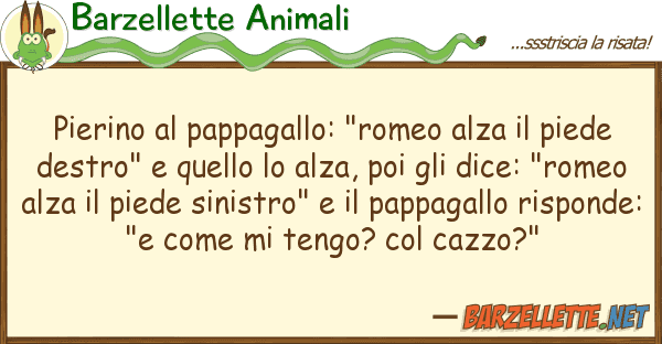 Barzellette Animali pierino pappagallo: "romeo alza pi