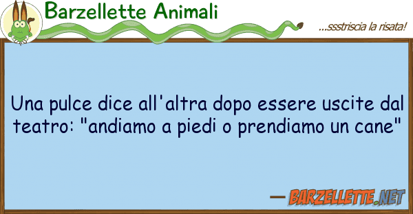 Barzellette Animali pulce dice all'altra dopo essere usc