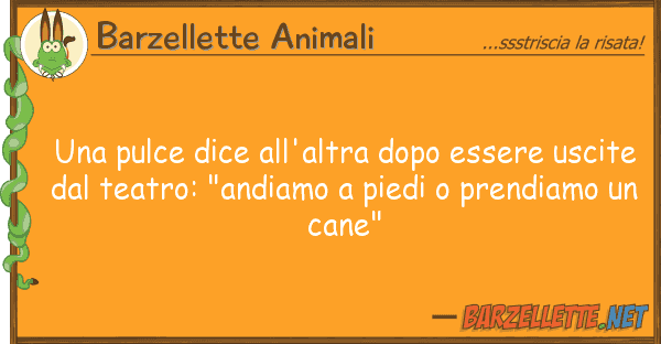Barzellette Animali pulce dice all'altra dopo essere usc