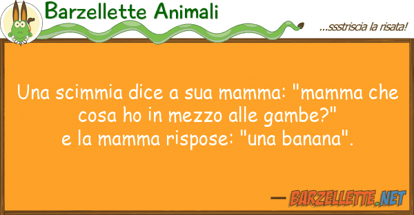 Barzellette Animali scimmia dice mamma: "mamma