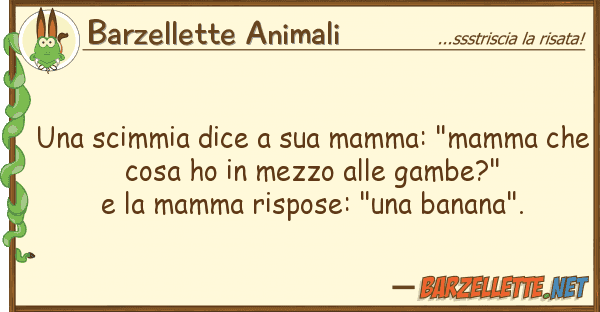 Barzellette Animali scimmia dice mamma: "mamma