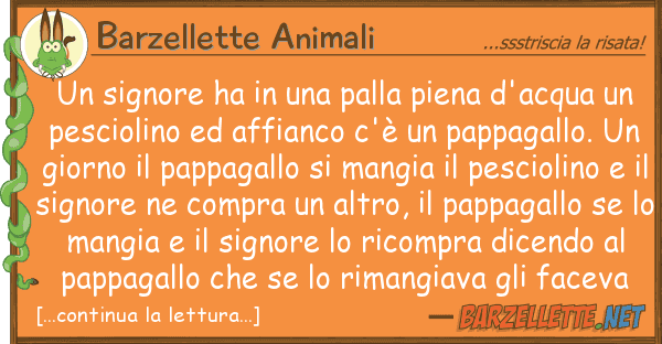 Barzellette Animali signore ha palla piena d'acqua