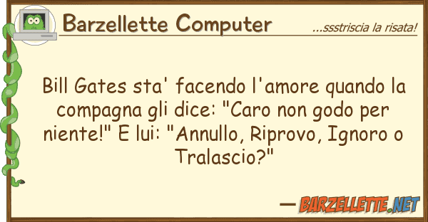 Barzellette Computer bill gates sta' facendo l'amore quando