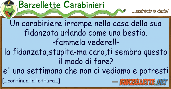 Barzellette Carabinieri carabiniere irrompe casa