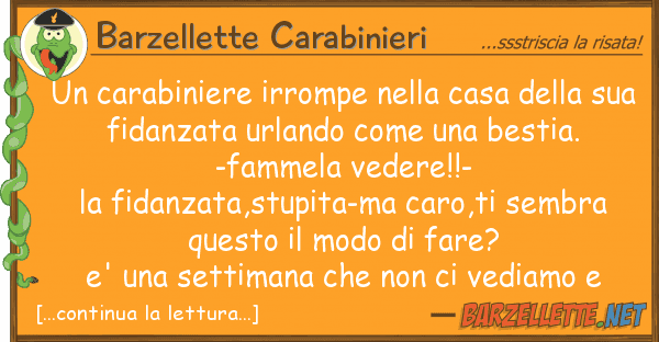 Barzellette Carabinieri carabiniere irrompe casa