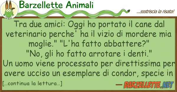 Barzellette Animali due amici: oggi ho portato cane d