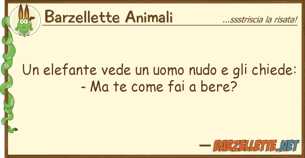 Barzellette Animali elefante vede uomo nudo chie