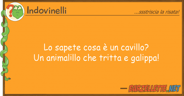 Indovinelli sapete cosa è cavillo? un animal