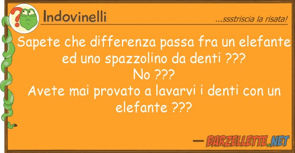 Indovinelli sapete differenza passa fra elefa