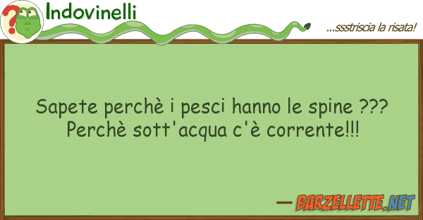 Indovinelli sapete perchè pesci hanno spine ??
