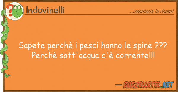 Indovinelli sapete perchè pesci hanno spine ??